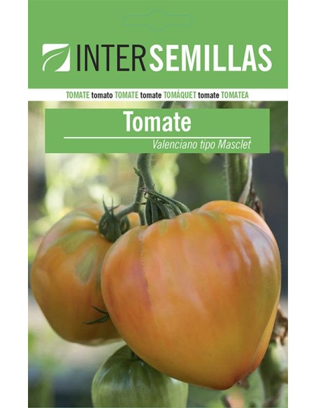 Llavor tomàquet Valencià tipus Masclet (100 gr)
