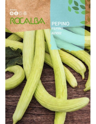 Semente de pepino Alficoz (cucumis flexuosus)