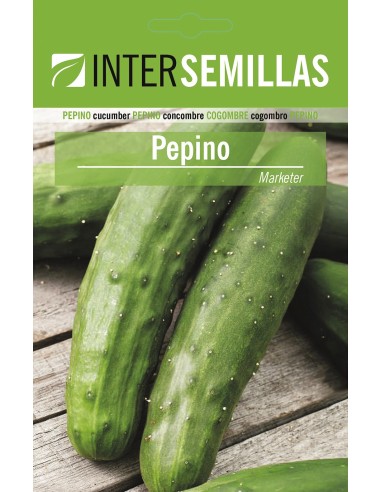 Semilla Pepino Marketer