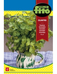 Semilla de cilantro