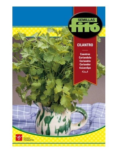 Semilla de cilantro
