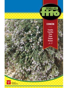 graine de thym