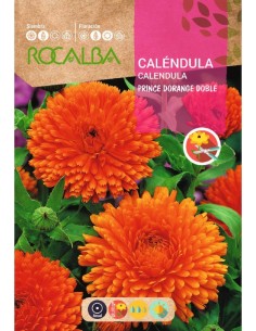 Graines de calendula Prince d'Orange doubles