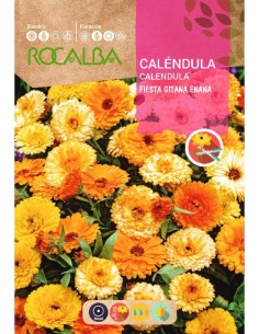 Semilla caléndula fiesta Gitana enana