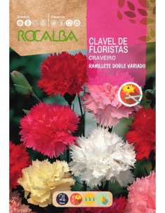 Graines de œillets pour fleuristes bouquet double assorti