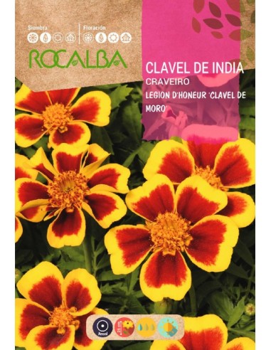 Semilla clavel de la India Legion de Honor