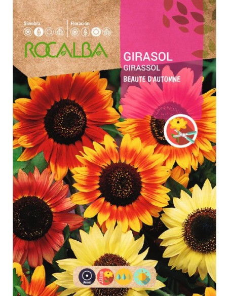 Semilla girasol beaute d'automne