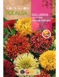 Semilla gallardia extra doble variada