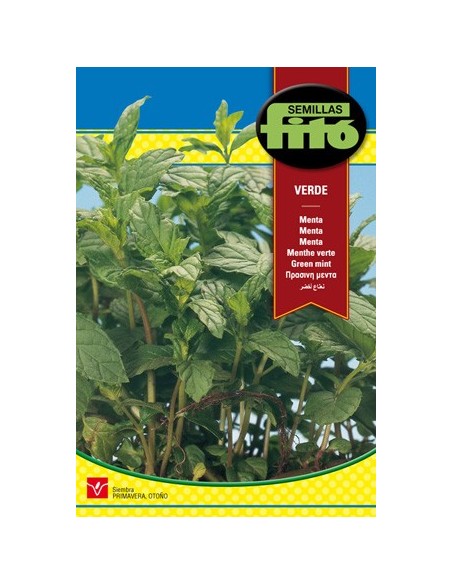 Semilla menta