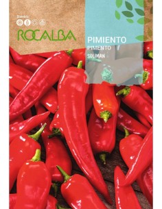 Semente de pimento Soliman