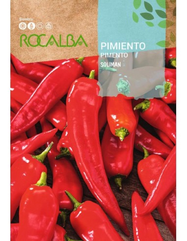 Semente de pimento Soliman