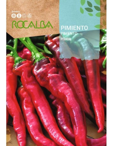 Semente de pimento Pedral