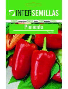 Llavor pebrot Piquillo