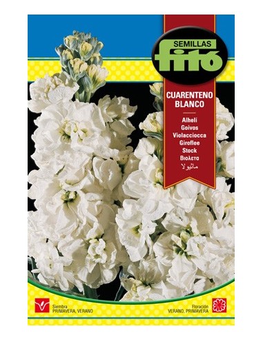 Compre Semente de aleli branco em Germigarden