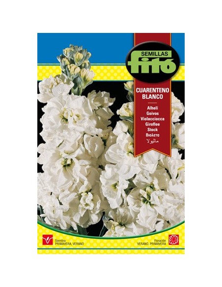 Compre Semente de aleli branco em Germigarden