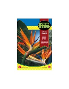 Semilla Ave del paraíso (Strelitzia)