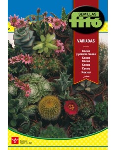 Semilla cactus y planta crasa variada