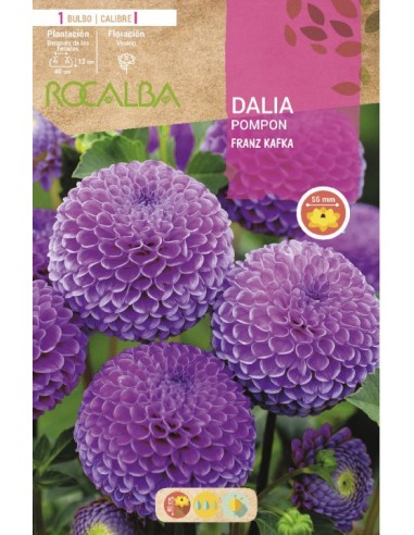 Lâmpada de dália pompons vermelhos