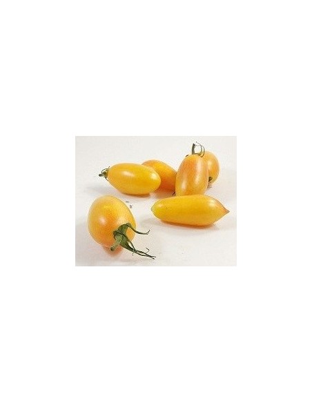 Semilla tomate cherry largo amarillo (ecológica)