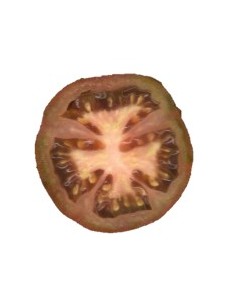 Semilla tomate tres cantos (ecológica)