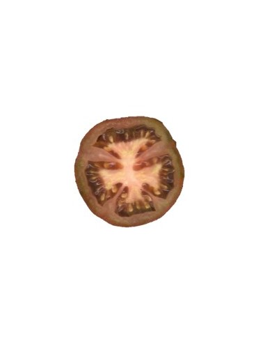 Semente de tomate tres cantos (orgânico)