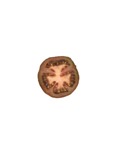 Semilla tomate tres cantos (ecológica)