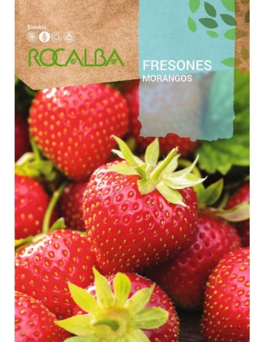 Graines de Fraises