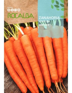 Semilla zanahoria Nantesa 2