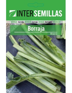 Semilla Borraja movera