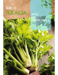 Semente de aipo blanc Pascal