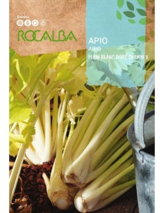 Semilla apio blanc dore chemin