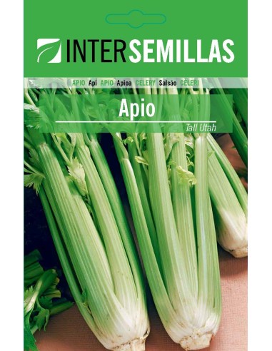 Semente de aipo Tall Utah 52-70 (100 gr)