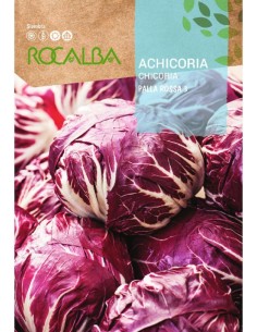 Semilla achicoria Palla Rossa 3
