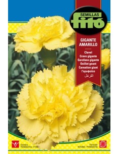 Compre Semente de cravo gigante amarelo em Germigarden