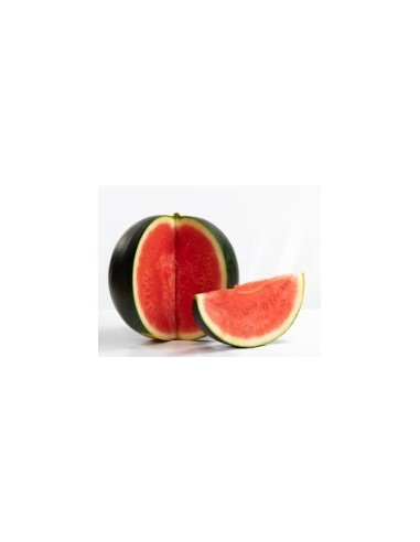 Graine de pastèque Rhiana F1 (hybride) (1 000 graines)