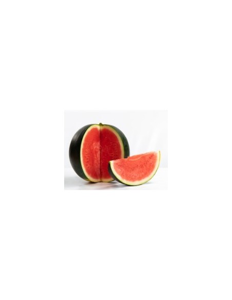 Graine de pastèque Rhiana F1 (hybride) (1 000 graines)