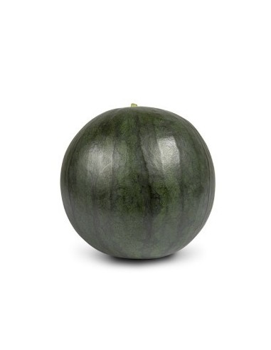 Graine de pastèque Rhiana F1 (hybride) (1 000 graines)