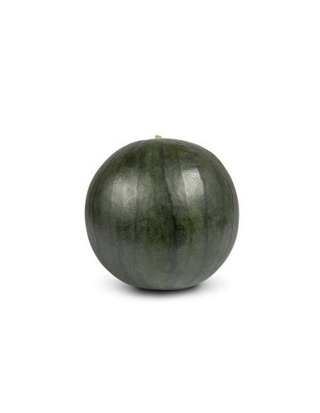 Graine de pastèque Rhiana F1 (hybride) (1 000 graines)