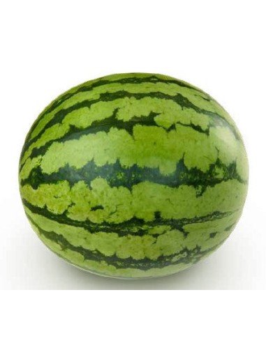 Graine de pastèque Pilar F1 (hybride) (1 000 graines)