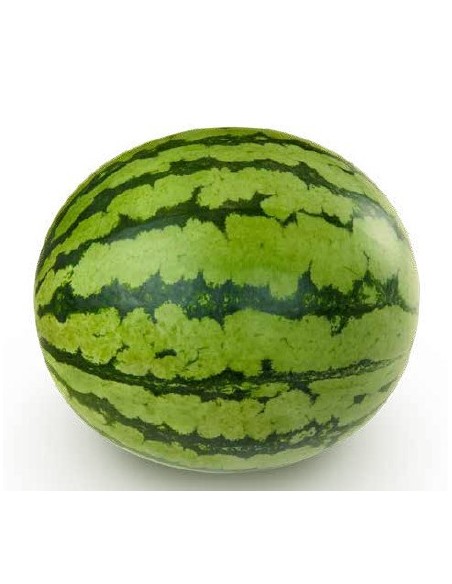 Graine de pastèque Pilar F1 (hybride) (1 000 graines)