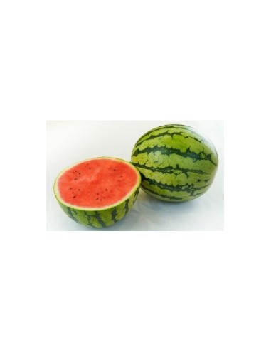 Graine de pastèque Pilar F1 (hybride) (1 000 graines)