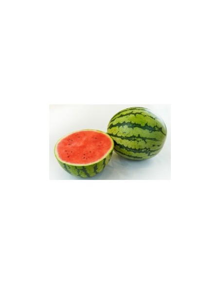 Graine de pastèque Pilar F1 (hybride) (1 000 graines)
