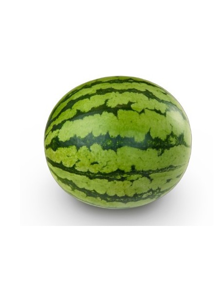 Graine de pastèque Leiva F1 (hybride) (1 000 graines)