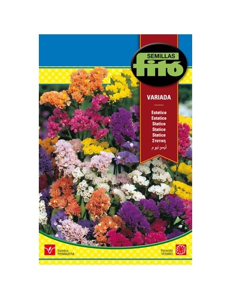  Semente de Limonium sinatum variada (Estatice) em Germigarden