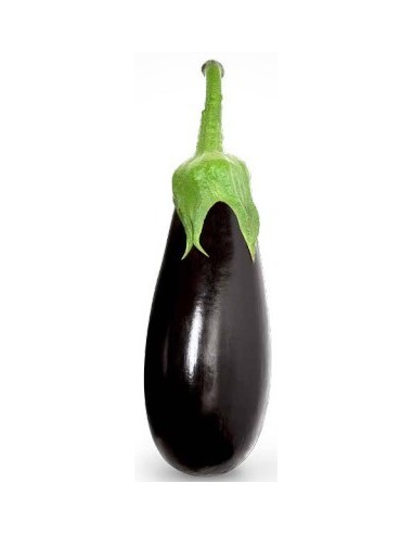 Graine d'aubergine Amalia F1 (hybride) (1.000 graine)