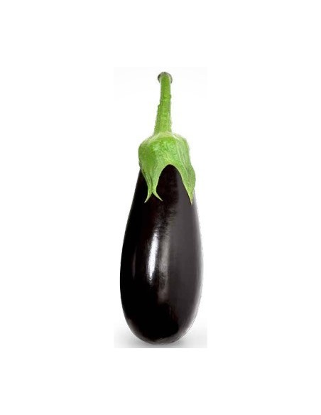 Graine d'aubergine Amalia F1 (hybride) (1.000 graine)
