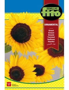 Semilla Girasol ornamental