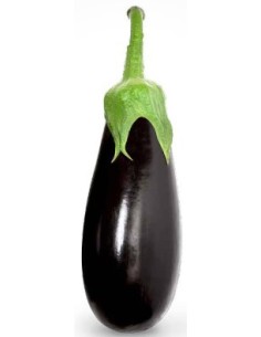 Graine d'aubergine Amalia F1 (hybride) (1.000 graine)