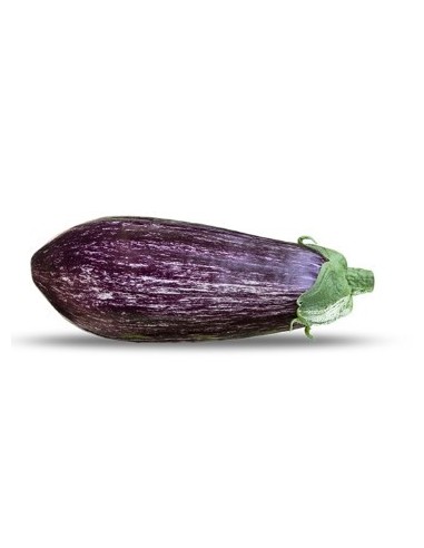 Graine d'aubergine Nazaret F1 (hybride) (1.000 graine)