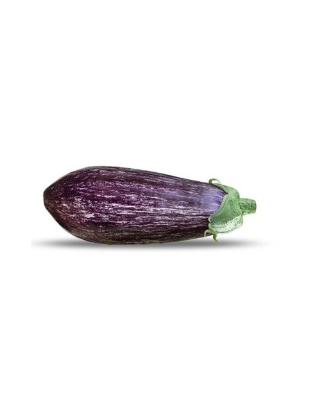 Graine d'aubergine Nazaret F1 (hybride) (1.000 graine)